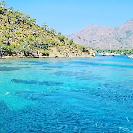 Asterixyacht-navigate To Greece,turkey And So More 船屋 *