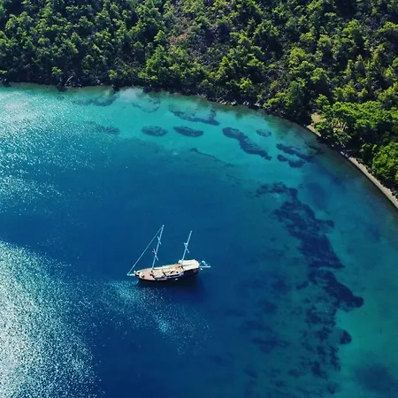 Asterixyacht-navigate To Greece,turkey And So More 船屋 *