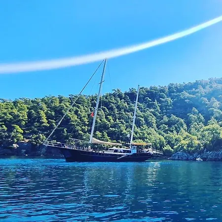 Asterixyacht-navigate To Greece,turkey And So More 船屋